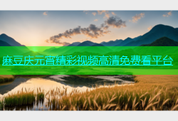 麻豆庆元宵精彩视频高清免费看平台