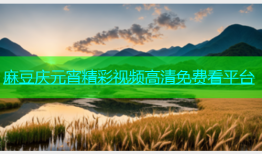 麻豆庆元宵精彩视频高清免费看平台