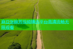 麻豆张婉芳视频精选平台高清流畅无限观看