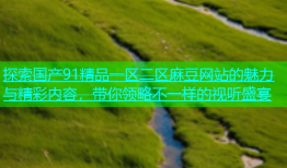 探索国产91精品一区二区麻豆网站的魅力与精彩内容，带你领略不一样的视听盛宴