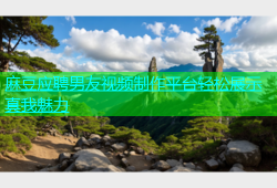 麻豆应聘男友视频制作平台轻松展示真我魅力