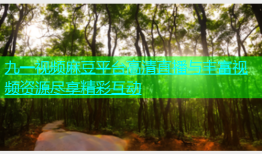 九一视频麻豆平台高清直播与丰富视频资源尽享精彩互动
