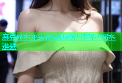 麻豆修水龙头教程视频快速解决漏水难题