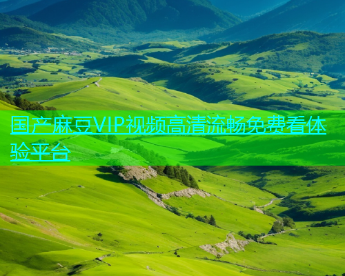 国产麻豆VIP视频高清流畅免费看体验平台