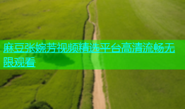 麻豆张婉芳视频精选平台高清流畅无限观看