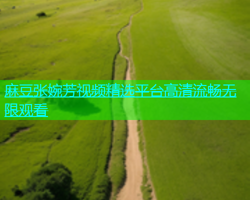 麻豆张婉芳视频精选平台高清流畅无限观看